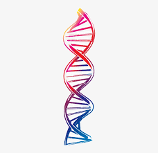 Polish your personal project or design with these dna transparent png images, make it even more personalized and more. Warehousing Logistics Transparent Background Dna Png Transparent Png 208x736 Free Download On Nicepng