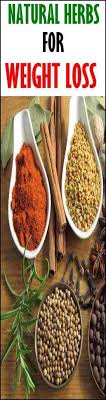 Pin On Weight Loss Herbs
