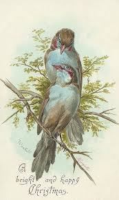 For More Please Visit Me At Www Facebook Com Jolly Ollie 77 Vintage Birds Bird Art Vintage Christmas Cards