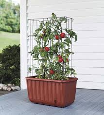 Check spelling or type a new query. Self Watering Tomato Planter And Rust Resistant Tower Plowhearth
