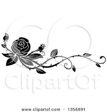 We did not find results for: Clipart Of A Black And White Floral Rose Vine Border Design Element Free Vector Illustration Rose Flower Sketch Black And White Roses