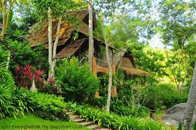 Koh Tao Cabana Resort At Sairee Beach Koh Tao Thailand Beachfront Hotels Beachfront Resort
