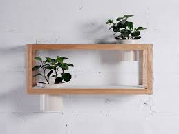 Il bambù è infatti bello ed elegante a vedersi, e tenuto in ufficio può servire anche per creare un divisorio naturale tra due scrivanie. Come Arredare Con Le Piante Da Interno News Gabetti