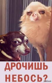 images?q=tbn:ANd9GcR60_P5rOtk8fe5ybBT9fB