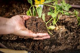 Because the soil comes from the worms in your garden andthe worm from your gardens is good for your plants because other soil probally isn't from your garden sincerly, someone. Potting Mix Vs Raised Bed Soil Kellogg Garden Organics