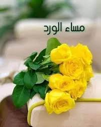 Afaf Adam (afafadam335)