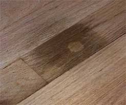Use Hydrogen Peroxide To Remove Dark Urine Stains From Hardwood Floors Carpet Cleaning Hacks Flooring Carpet Cleaning Solution