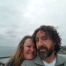 What is a healthy volunteer plant?