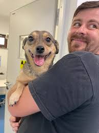 Meet Myla, the newest rescue family member