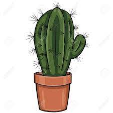 Video i 4k og hd klar til næsten enhver nle nu. Vector Cartoon Cactus In A Pot On White Background Royalty Free Cliparts Vectors And Stock Illustration Image 62688612
