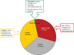 Sedentary Behavior And Cardiovascular Morbidity And