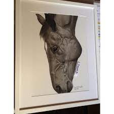 رسم خيل moose art art animals
