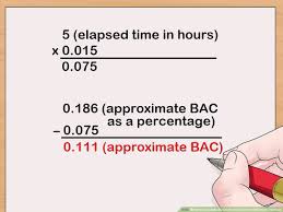 How To Calculate Blood Alcohol Content Widmark Formula 14