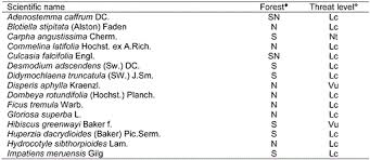 Image result for Ardisiandra sibthorpioides