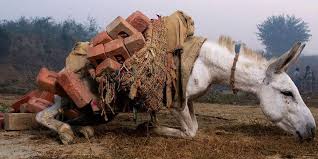 Πολυνομοσχέδιο: Τι πληρώνουν αγρότες, ενοικιαζόμενα, ασφαλισμένοι,  επαγγελματίες για μια δόση 2,8 δισ | Bank Wars - Τράπεζες