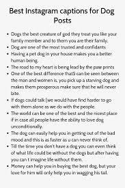 Best Instagram Captions For Dog Posts Good Instagram Captions Caption For Friends Instagram Captions