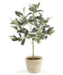 Maybe you would like to learn more about one of these? The Best Affordable Fake Plants For Your Home The Everygirl