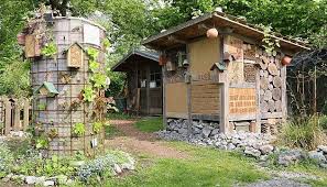 lehrpfade bienenhaus wildbienen bienen