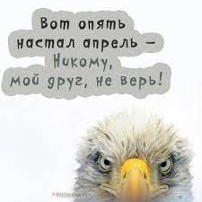 Хто не любить 1 квітня? Slxzqmrukphoum