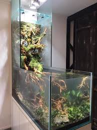 Aquarium Plants Aquarium Design Fish Tank Design Wall Aquarium