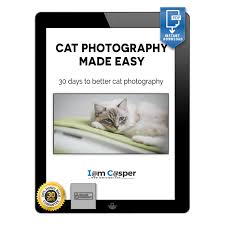 Published with reusable license by. The 201 Biggest Most Popular And Famous Instagram Cat Accounts Updated Iamcasper