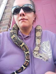 What are good enclosure options for reptiles?