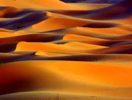 Image result for desierto y erotismo