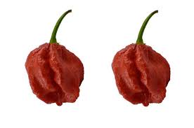 The 11 Spiciest Chile Peppers On Earth Slideshow Stuffed Peppers Chile Pepper Spicy