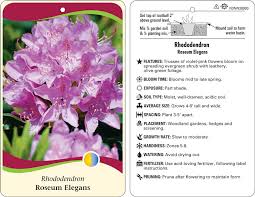 Check out rose elegans on ebay. Macore Stakes Tags Labels For The Horticulture Industry Categories