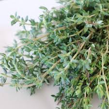 See how your sentence looks with different synonyms. Thyme Seeds English Organic Sow True Seed