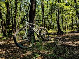 We did not find results for: Go To Work Halloween Glad Jocuri Cu Biciclete 2 Brotherspaintingonline Com