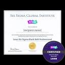 Lean Six Sigma Black Belt Certification & Online Training | SSGI