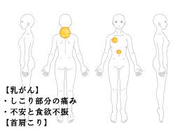 乳がんのしこりの痛みびわ温灸症例 ほっと ばらんす