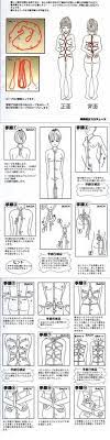 32 Knots ideas | knots, paracord knots, rope knots