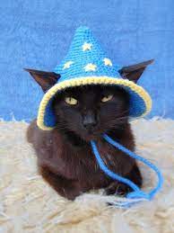 Wizard Hat For Cat Wizard Pet Costume Halloween Kitten Etsy In 2021 Pet Costumes Cat Accessories Cat Lovers