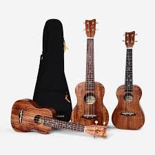 We're here to help over phone, chat, or email every day of the week. Best Ukulele Concert Solid Brands And Get Free Shipping Jh5h6m4h