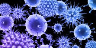 Respiratory syncytial virus (rsv) is an enveloped rna virus, in the same family as the human parainfluenza viruses and mumps and measles viruses.rsv is one of the common viruses that cause coughs. Rsv