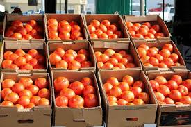 12 Tomatoes Healthy Organic Tomato Fresh Food