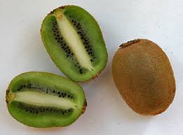 Image result for Actinidiaceae