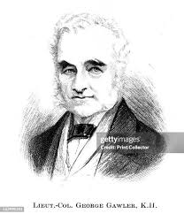 249 Colonel Wood Stock Photos, High-Res Pictures, and Images