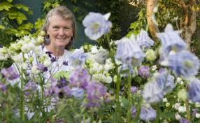 Image result for Aquilegia vulgaris Tower Mix