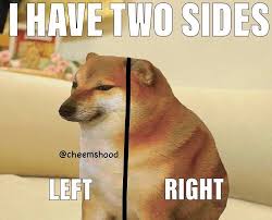 Doge (often /ˈdoʊdʒ/ dohj, /ˈdoʊɡ/ dohg) is an internet meme that became popular in 2013. Cheems Bonk Doge Meme Coffee Tea Mug 11oz Latest Cheems Etsy Doge Meme Funny Dog Gifts Funny Memes