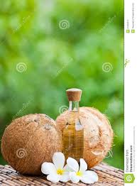 Image result for free images of coconuts and oil