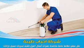 شركة رش حشرات بالدمام بسعر رخيص home appliances au s lol