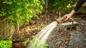 Irrigation and Water Management Practices