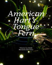 Image result for Thesium unyikense