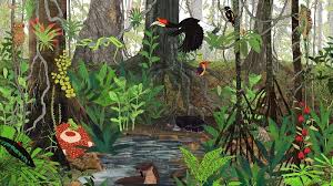 Burung cenderawasih banyak ditemukan di bagian indonesia. Bioma Hutan Hujan Tropis Manfaat Ciri Macam Jenis Flora Dan Fauna Jagad Id