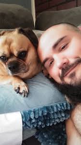 Dachshund refuses food after vomiting white foam