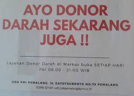 Anak sma joged hot banget sampe buka baju dan keliatan anu nya. Jam Buka Layanan Donor Darah Pmi Kabupaten Pemalang