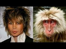 images?q=tbn:ANd9GcR61eVzveajiSU8hqSGzBtb0xF1tog-4aYcXU1OjxmK-SSnoTss